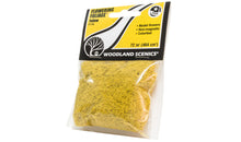 Load image into Gallery viewer, Woodland Scenics F176 Flowering Foliage Yellow