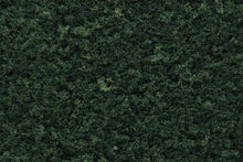 Load image into Gallery viewer, Woodland Scenics F53 Foliage Dark Green