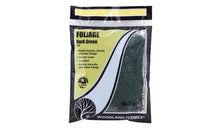 Load image into Gallery viewer, Woodland Scenics F53 Foliage Dark Green