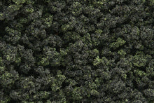 Load image into Gallery viewer, Woodland Scenics FC139 Underbrush Clump Foliage Forest Blend