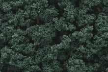 Load image into Gallery viewer, Woodland Scenics FC147 Bushes Clump Foliage Dark Green