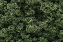 Load image into Gallery viewer, Woodland Scenics FC683 Clump Foliage Medium Green