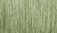 Load image into Gallery viewer, Woodland Scenics FG173 Field Grass Light Green 0.28 oz