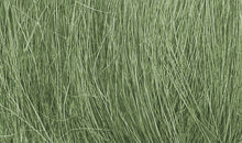 Load image into Gallery viewer, Woodland Scenics FG174 Field Grass Medium Green 0.28 oz