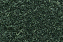 Load image into Gallery viewer, Woodland Scenics T65 Turf Coarse Dark Green 12 oz