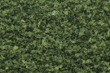 Load image into Gallery viewer, Woodland Scenics T64 Coarse Turf Medium Green Bag