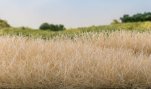 Load image into Gallery viewer, Woodland Scenics FS624 7mm Static Grass Straw