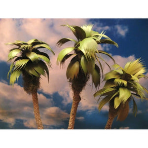Grand Central Gems 3 Small Palm Trees 295T26