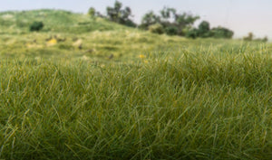 Woodland Scenics FS621 7mm Static Grass Dark Green – Burbank's