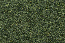 Load image into Gallery viewer, Woodland Scenics T49 Blended Turf Green Blend
