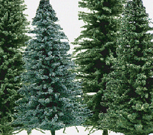 Grand Central Gems 25 Small Spruce Trees 2"-3" 295-T10