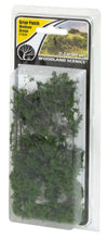 Load image into Gallery viewer, Woodland Scenics FS638 Briar Patch Medium Green