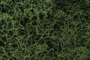 Woodland Scenics L163 Lichen Medium Green 1.5 Quarts
