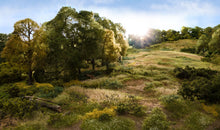Load image into Gallery viewer, Woodland Scenics FS638 Briar Patch Medium Green