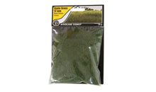 Load image into Gallery viewer, Woodland Scenics FS625 12mm Static Grass Dark Green