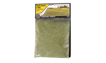 Load image into Gallery viewer, Woodland Scenics FS619 4mm Static Grass Light Green