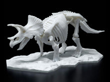Load image into Gallery viewer, Bandai 1/32 Triceratops Limex Skeleton Model Kit 5061660
