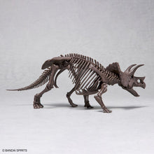 Load image into Gallery viewer, Bandai 1/32 Triceratops Imaginary Skeleton 5061801