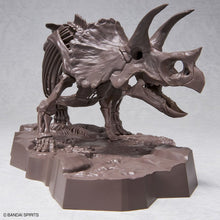 Load image into Gallery viewer, Bandai 1/32 Triceratops Imaginary Skeleton 5061801