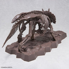 Load image into Gallery viewer, Bandai 1/32 Triceratops Imaginary Skeleton 5061801