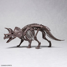 Load image into Gallery viewer, Bandai 1/32 Triceratops Imaginary Skeleton 5061801