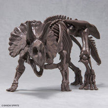 Load image into Gallery viewer, Bandai 1/32 Triceratops Imaginary Skeleton 5061801