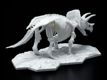 Load image into Gallery viewer, Bandai 1/32 Triceratops Limex Skeleton Model Kit 5061660