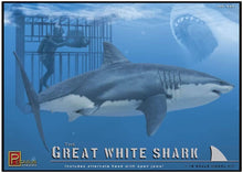 Load image into Gallery viewer, Pegasus Great White Shark 9501