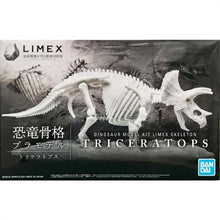 Load image into Gallery viewer, Bandai 1/32 Triceratops Limex Skeleton Model Kit 5061660