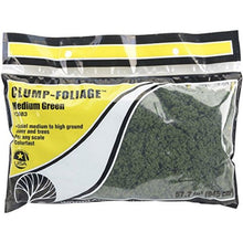 Load image into Gallery viewer, Woodland Scenics FC683 Clump Foliage Medium Green