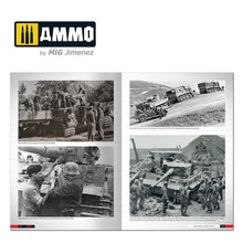 Load image into Gallery viewer, Ammo by Mig AMIG6273 Tigers: Modeling the Ryefield Family